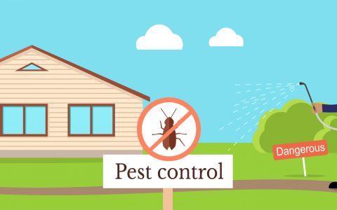 What are your favorite pest control tips effective for keeping away pests?