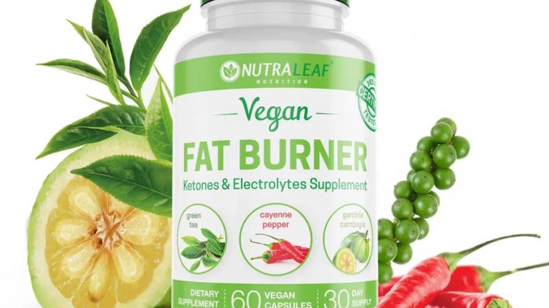 A Brief Intro to the Truth of Best fat Burner Programs