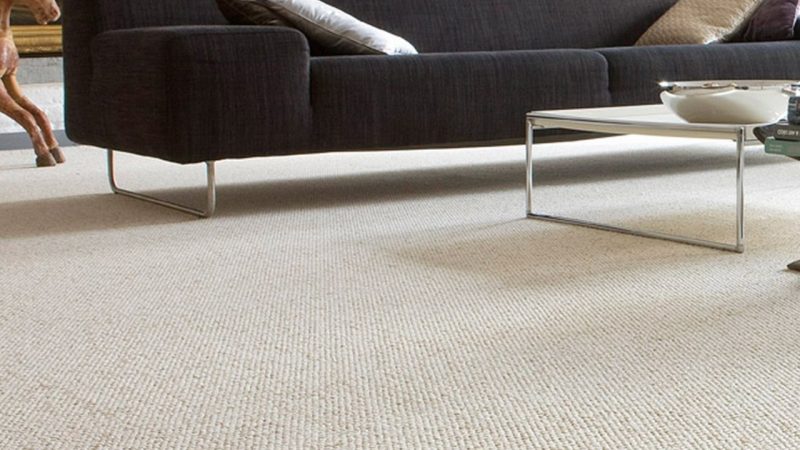 Advantages And Disadvantages Of Carpet Cleaning Services Available Today