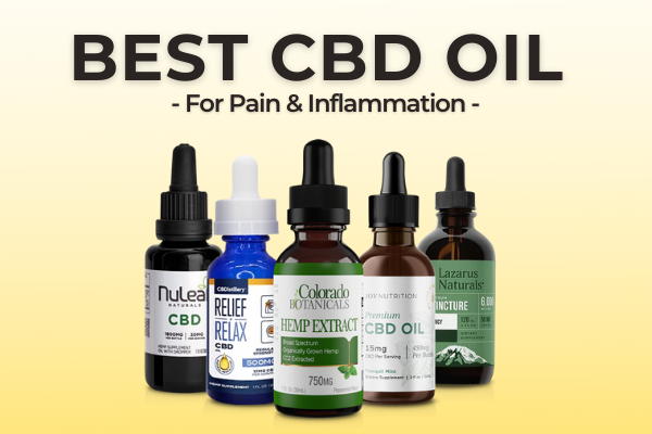 10 Best CBD Oil Brands On The Market Right Now
