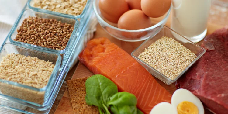 How A Person Can Get A Good Amount Of The Protein In Their Daily Diet?