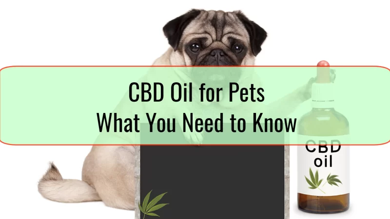 How to get started on using CBD products