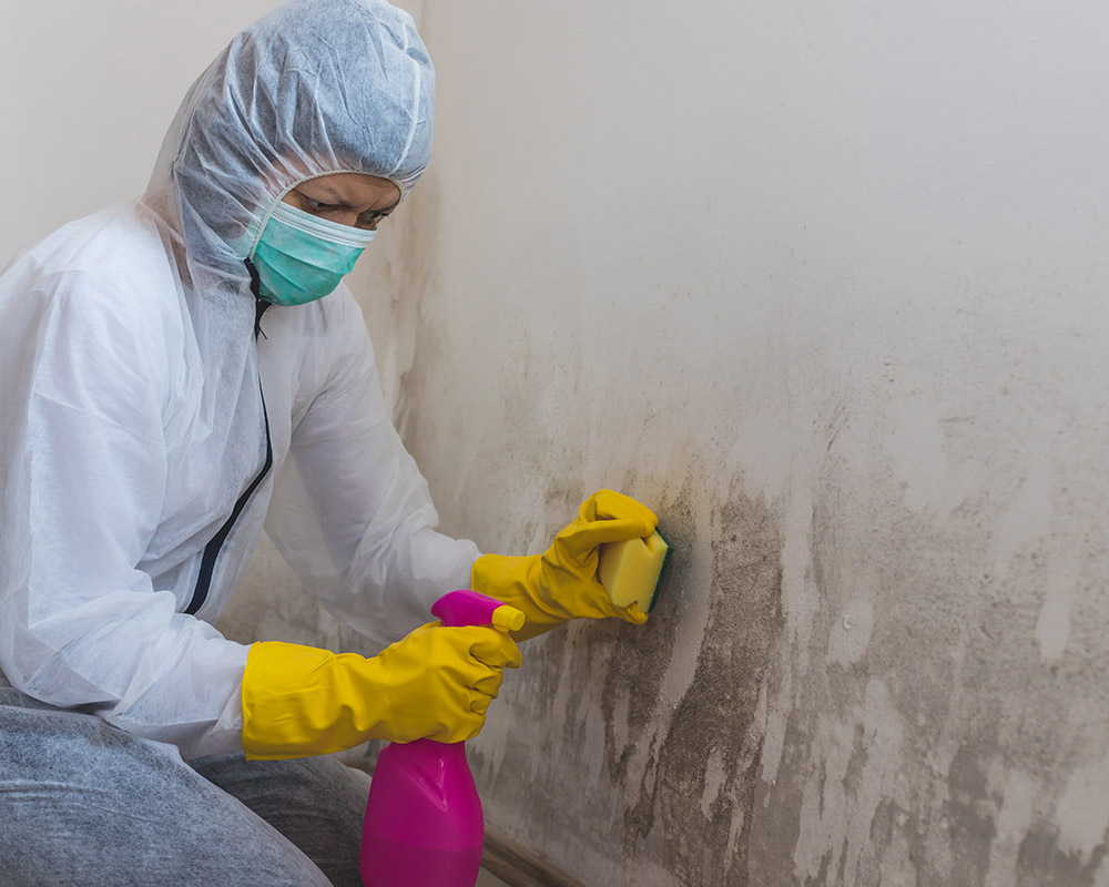 Mold Remediation: A Vital Solution for a Healthier Home