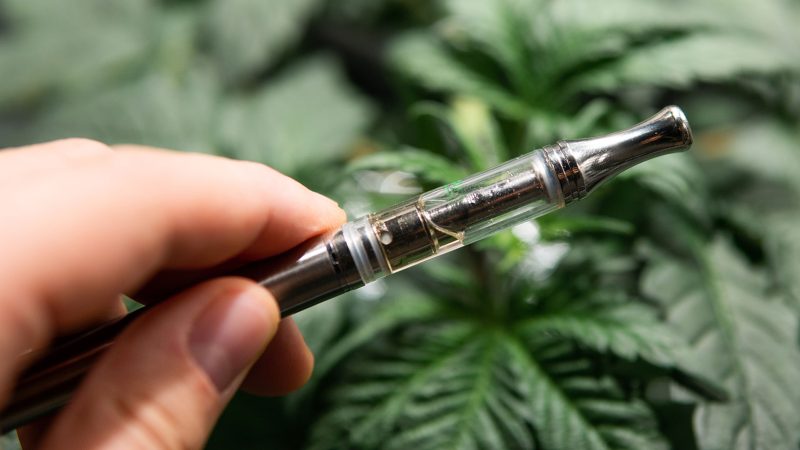 A Guide On How To Use a Dry Herb Vaporizer